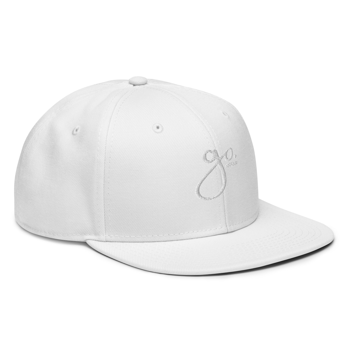 Go. Snapback Hat